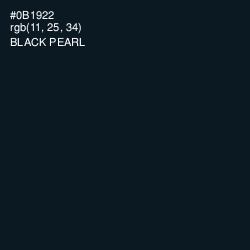 #0B1922 - Black Pearl Color Image